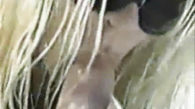 Precioso gangbang y bukkake portugueses! videos lesbicos caseros